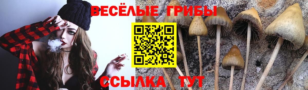 Новокубанск  Псилоцибиновые грибы мицелий  Вход с VPN 