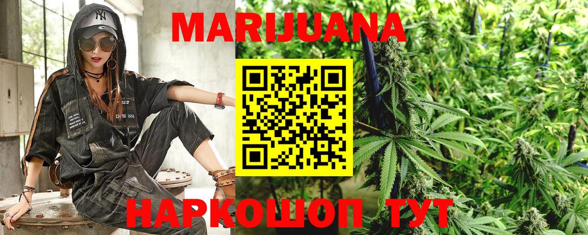Каннабис сатива Новокубанск